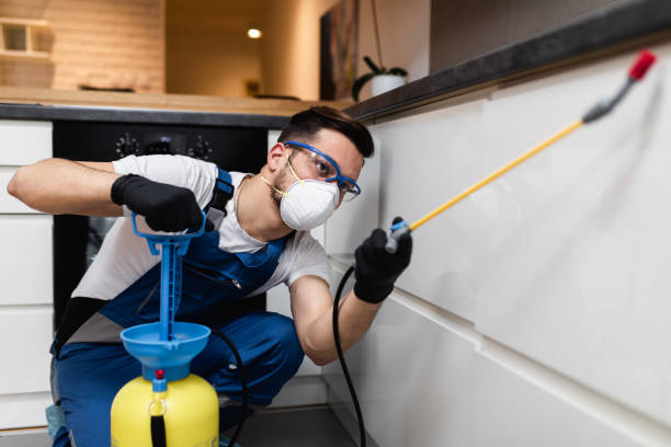 Best Affordable Exterminators  in Oxford, PA