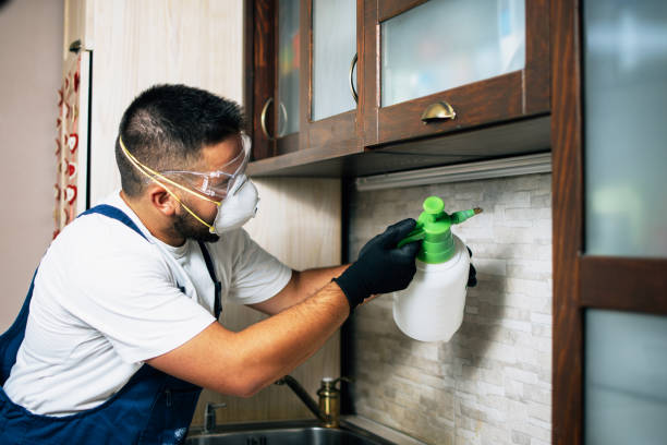 Best Pest Control for Restaurants  in Oxford, PA