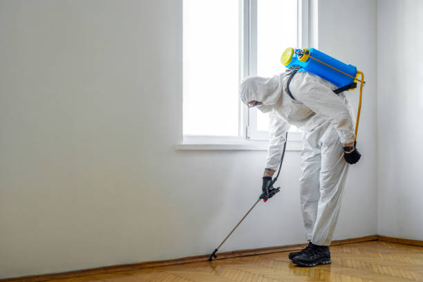 Best Wasp Removal Services  in Oxford, PA