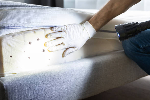 Best Affordable Pest Control Services  in Oxford, PA
