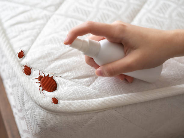 Pest Prevention Services in Oxford, PA