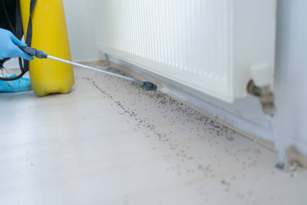 Best Best Pest Control Companies  in Oxford, PA